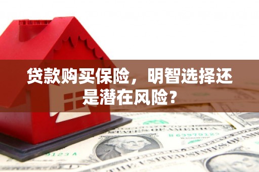 端州贷款购买保险，明智选择还是潜在风险？