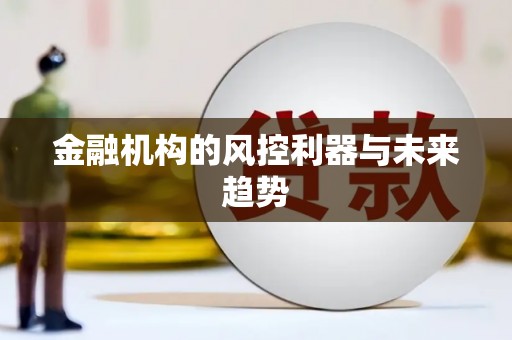 端州金融机构的风控利器与未来趋势