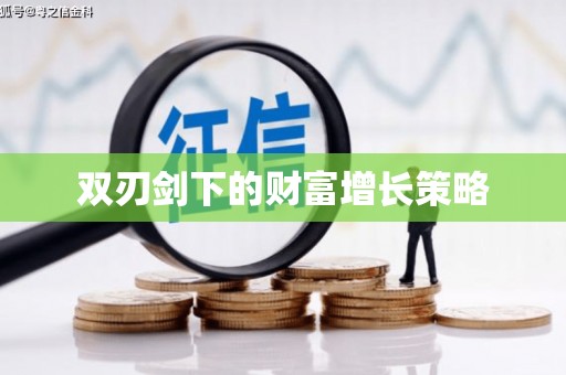 端州双刃剑下的财富增长策略