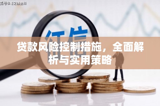 端州贷款风险控制措施，全面解析与实用策略