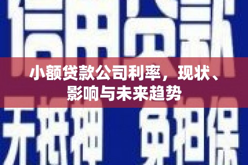 端州小额贷款公司利率，现状、影响与未来趋势