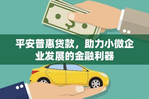 端州平安普惠贷款，助力小微企业发展的金融利器