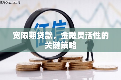 端州宽限期贷款，金融灵活性的关键策略
