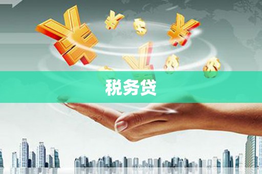 端州税务贷
