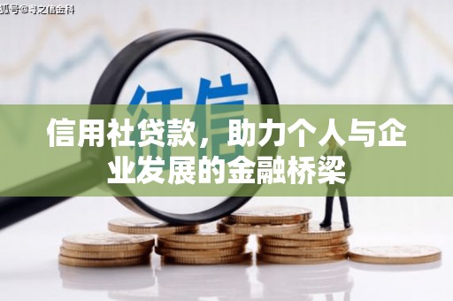 端州信用社贷款，助力个人与企业发展的金融桥梁