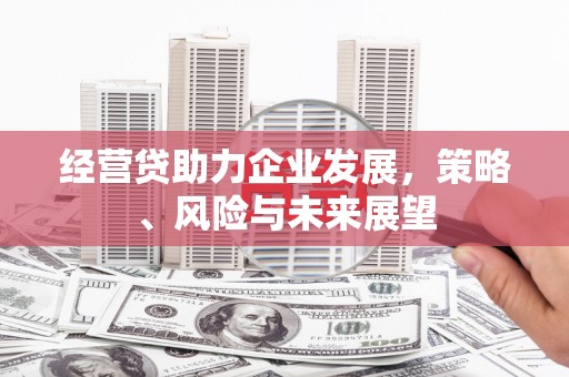 端州经营贷助力企业发展，策略、风险与未来展望