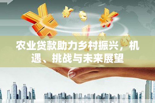 端州农业贷款助力乡村振兴，机遇、挑战与未来展望