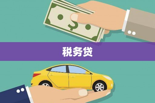 端州税务贷