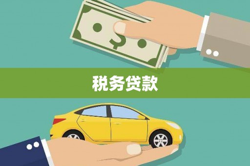 端州税务贷款