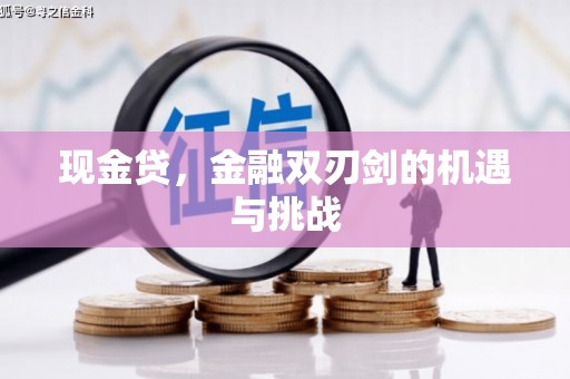 端州现金贷，金融双刃剑的机遇与挑战