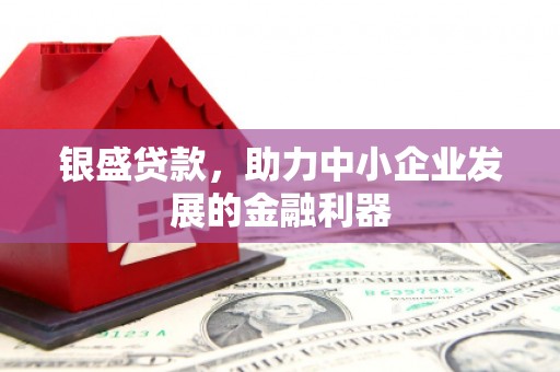 端州银盛贷款，助力中小企业发展的金融利器