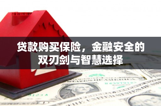 端州贷款购买保险，金融安全的双刃剑与智慧选择