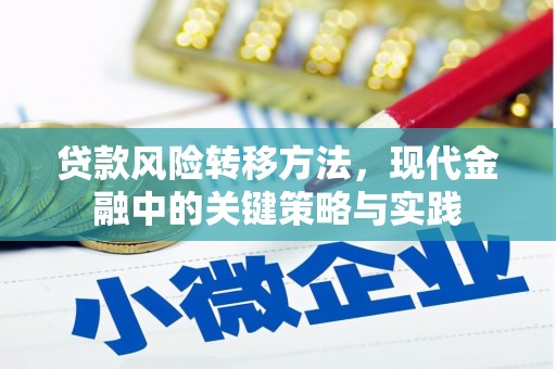 端州贷款风险转移方法，现代金融中的关键策略与实践