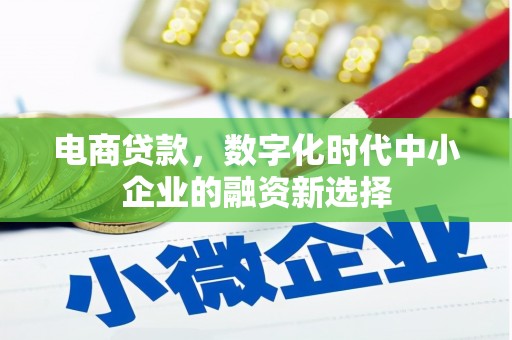端州电商贷款，数字化时代中小企业的融资新选择