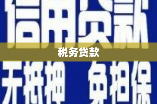 端州税务贷款