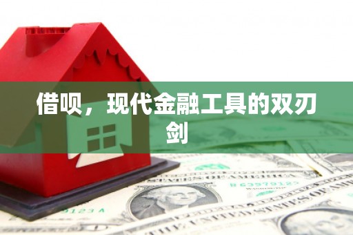 端州借呗，现代金融工具的双刃剑
