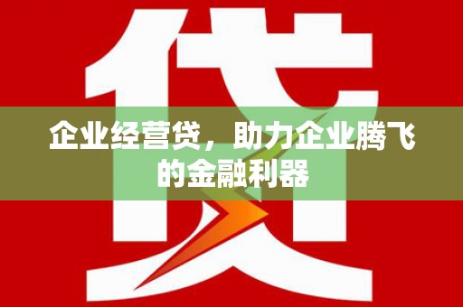 端州企业经营贷，助力企业腾飞的金融利器