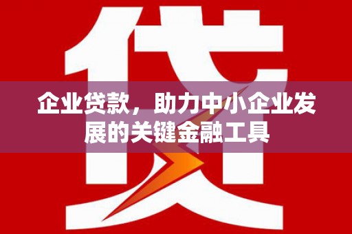 端州企业贷款，助力中小企业发展的关键金融工具