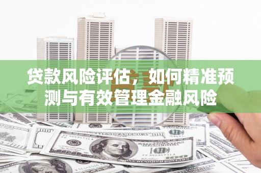 端州贷款风险评估，如何精准预测与有效管理金融风险