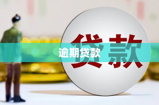 端州逾期贷款
