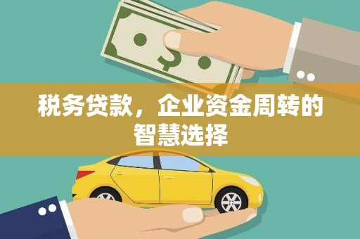 端州税务贷款，企业资金周转的智慧选择