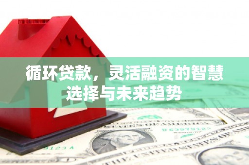 端州循环贷款，灵活融资的智慧选择与未来趋势