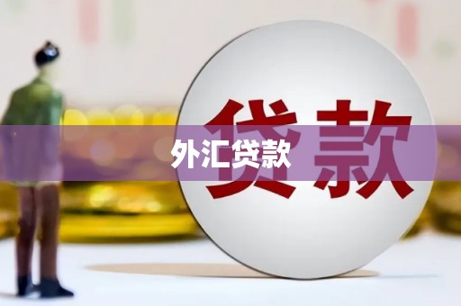 端州外汇贷款