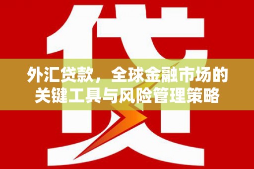 端州外汇贷款，全球金融市场的关键工具与风险管理策略
