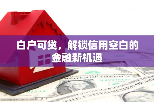 端州白户可贷，解锁信用空白的金融新机遇