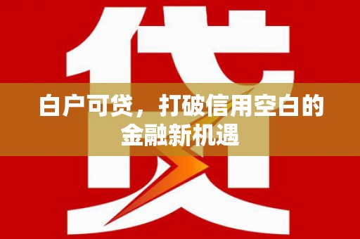 端州白户可贷，打破信用空白的金融新机遇