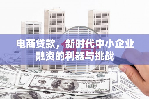 端州电商贷款，新时代中小企业融资的利器与挑战