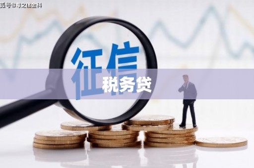 端州税务贷
