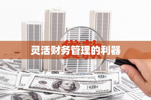端州灵活财务管理的利器