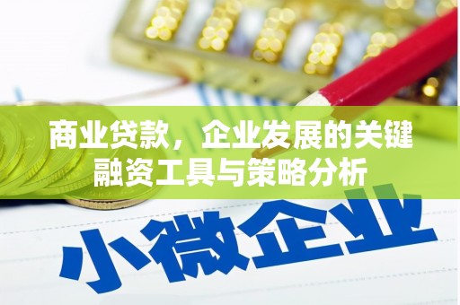 端州商业贷款，企业发展的关键融资工具与策略分析
