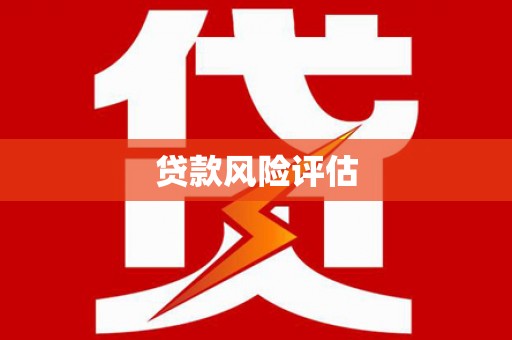 端州贷款风险评估