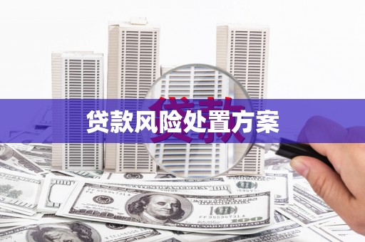 端州贷款风险处置方案