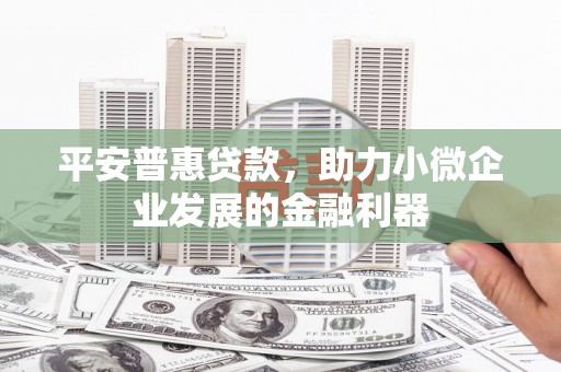 端州平安普惠贷款，助力小微企业发展的金融利器