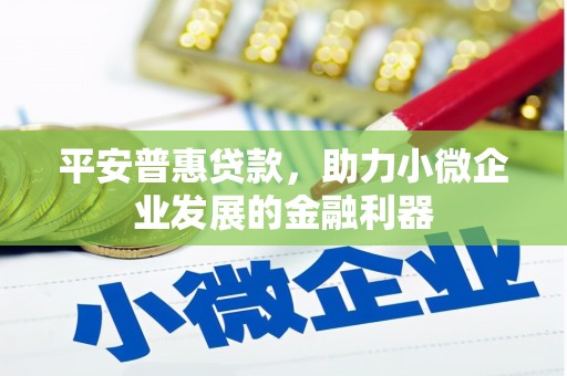 端州平安普惠贷款，助力小微企业发展的金融利器
