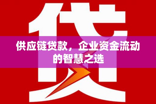 端州供应链贷款，企业资金流动的智慧之选