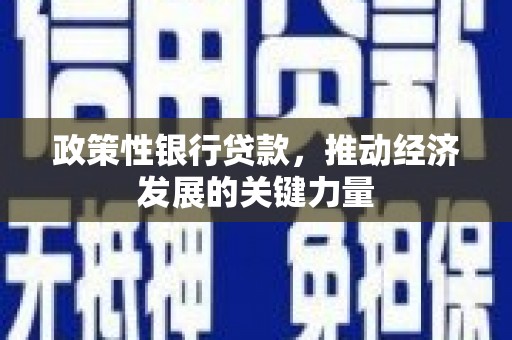 端州政策性银行贷款，推动经济发展的关键力量