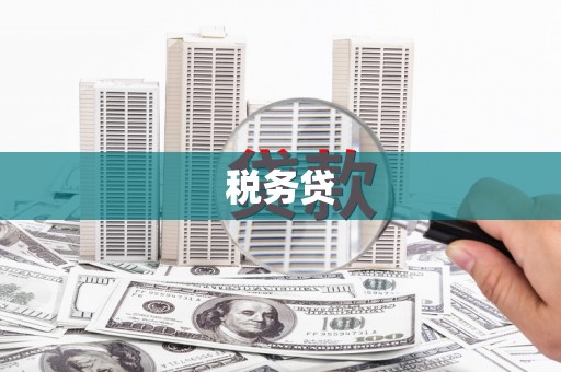 端州税务贷