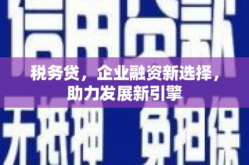 端州税务贷，企业融资新选择，助力发展新引擎