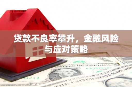 端州贷款不良率攀升，金融风险与应对策略