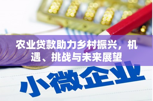 端州农业贷款助力乡村振兴，机遇、挑战与未来展望