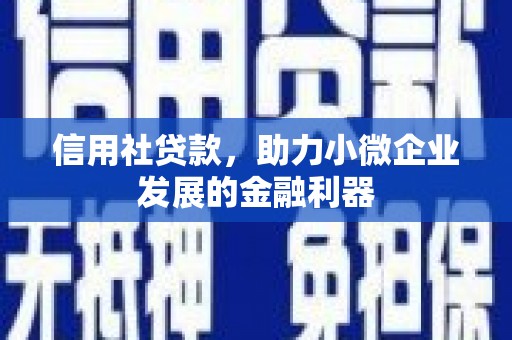 端州信用社贷款，助力小微企业发展的金融利器