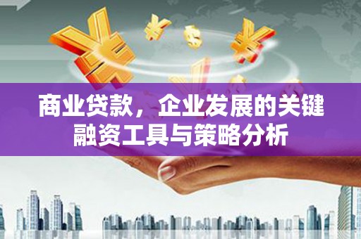 端州商业贷款，企业发展的关键融资工具与策略分析