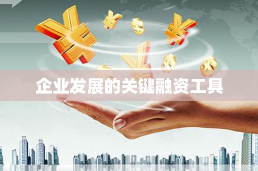 端州企业发展的关键融资工具
