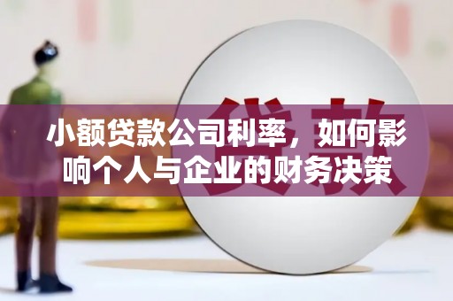 端州小额贷款公司利率，如何影响个人与企业的财务决策
