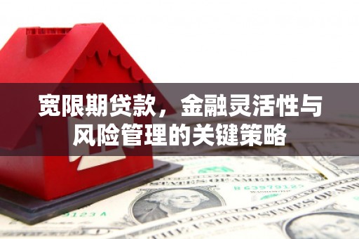 端州宽限期贷款，金融灵活性与风险管理的关键策略