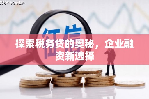 端州探索税务贷的奥秘，企业融资新选择